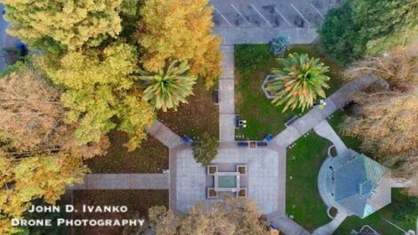 Sustainable Travel to Healdsburg, California Part 2: Celebrating Sustainability with Farm-to-Table Dining & Shopping Local Image